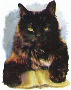 Shaggy the cat