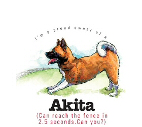 Akita - 9112