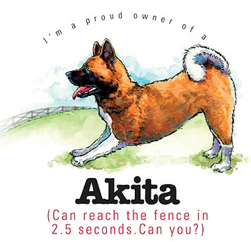 Akita