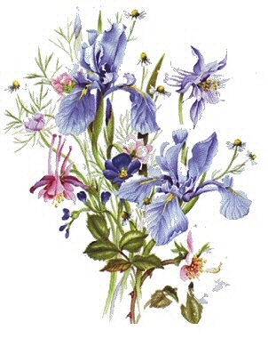 Iris bouquet