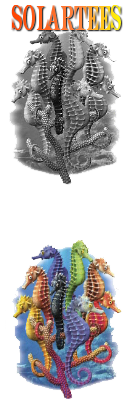 Solar Tees - the t-shirts that change colour in the sun