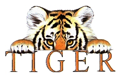 Tiger honda monroe #6